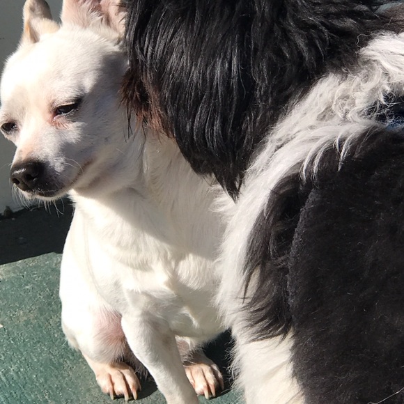 Meet your Posher, Sommer - Picture 6 of 8